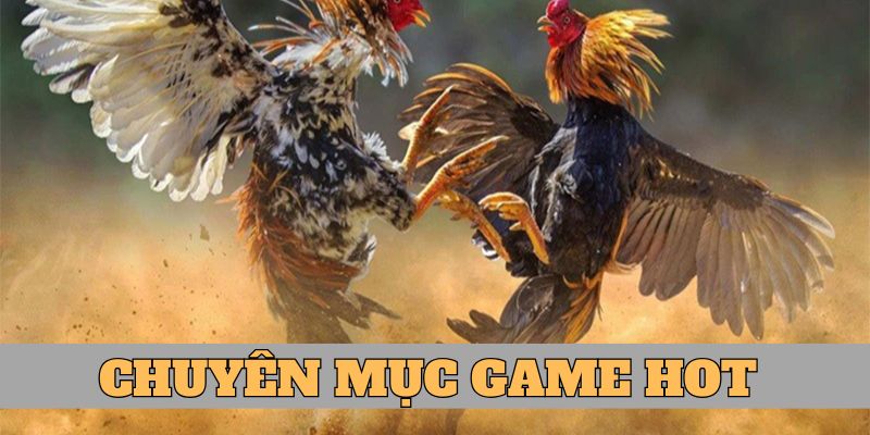 Cập nhật những chuyên mục game hot 