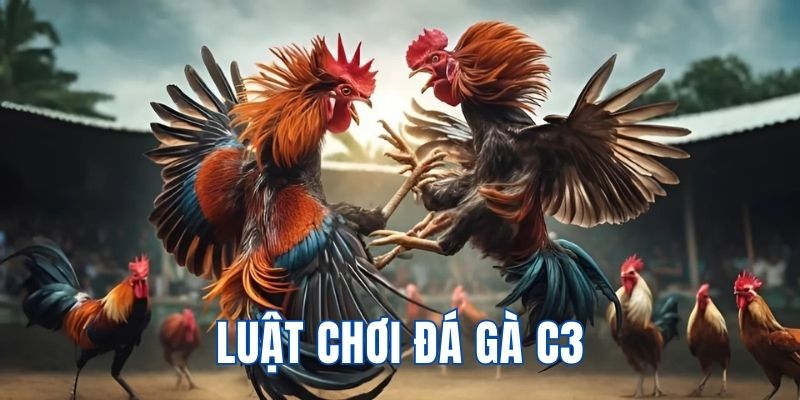 Chia sẻ luật chơi mới nhất cập nhật tại hệ thống